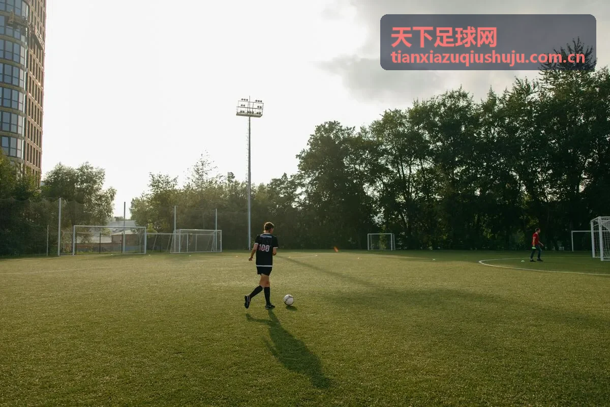 球员数据深度分析 - 天下足球网
